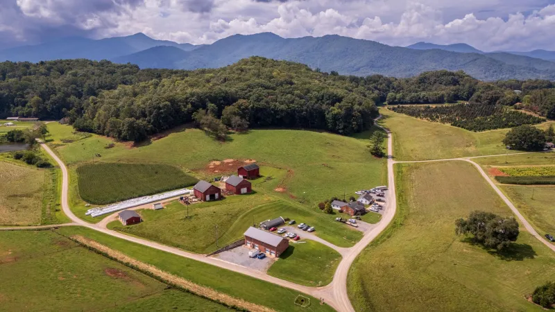 From Coal Dust to Cover Crops: Hemp's Emerging Role in Appalachia's Long Road Back