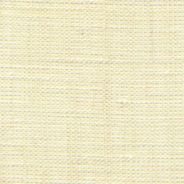 Thread by Thread: How Hemp Fabric Is Quietly Rewriting the Rules of American Fashion