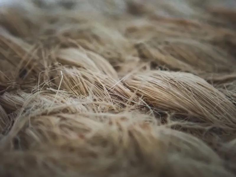 Washing Away the Problem: How Hemp Fiber Is Emerging as a Frontline Defense Against Microplastic Pollution
