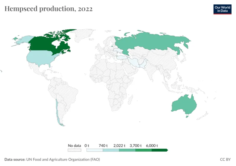 The Protein Hidden in Plain Sight: How Hempseed Could Quietly Transform What Americans Eat