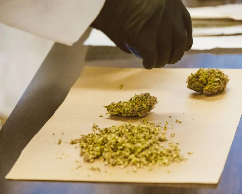 Invented Here, Owned Elsewhere: How Foreign Firms Are Claiming America's Hemp Intellectual Property