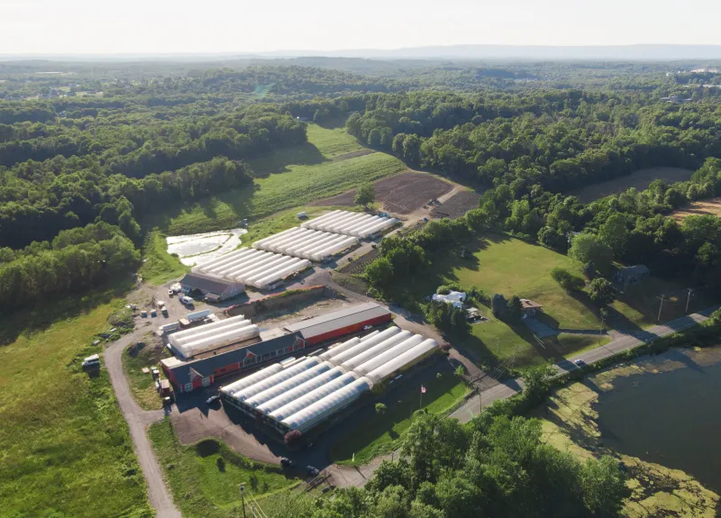 From Field to Finished Product: How Vertically Integrated Hemp Farms Are Rewriting the Rules of American Agriculture